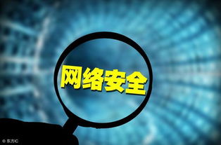 构筑数字防线 防毒软件在网络与信息安全软件开发中的核心地位