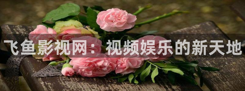 金桔影视下载安装视频：飞鱼影视网：视频娱乐的新天地