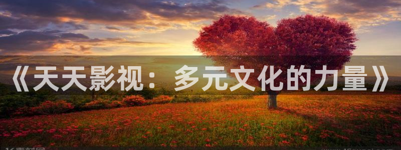 金桔直播视频观看：《天天影视：多元文化的力量》