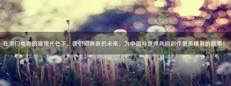 金桔影院：在澳门电影的璀璨光芒下，我们期待新的未来，为中国与世界共同创作更多精彩的故事！