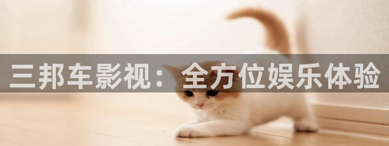 金桔影视app：三邦车影视：全方位娱乐体验