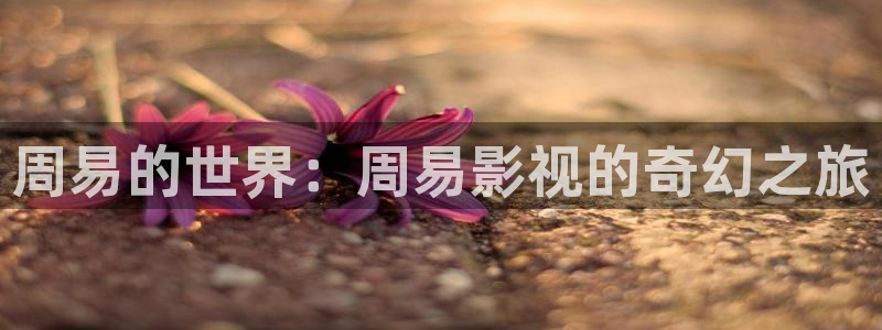 金桔影视在线观看：周易的世界：周易影视的奇幻之旅