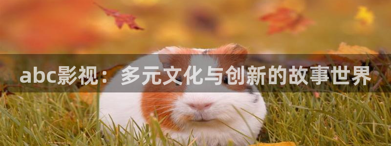 金桔直播视频观看：abc影视：多元文化与创新的故事世界