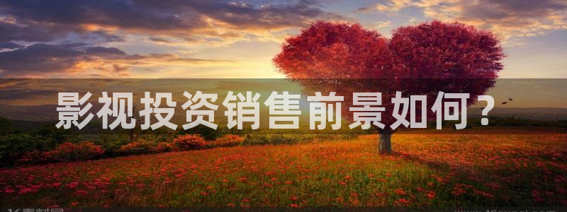 金桔tv：影视投资销售前景如何？