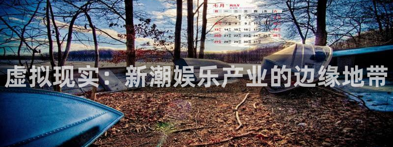 金桔柠檬汁视频：虚拟现实：新潮娱乐产业的边缘地带
