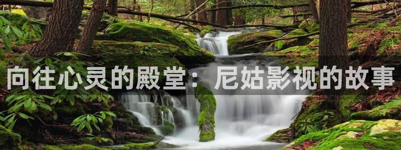 金桔影视网：向往心灵的殿堂：尼姑影视的故事